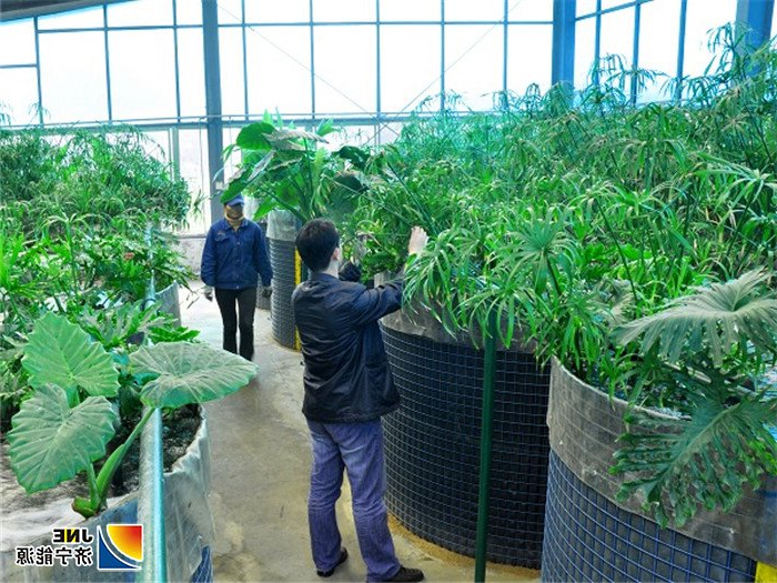 1563238161104872.jpg 花园煤矿:被济宁市环保局推荐为示范工程的花园煤矿污水处理站.jpg