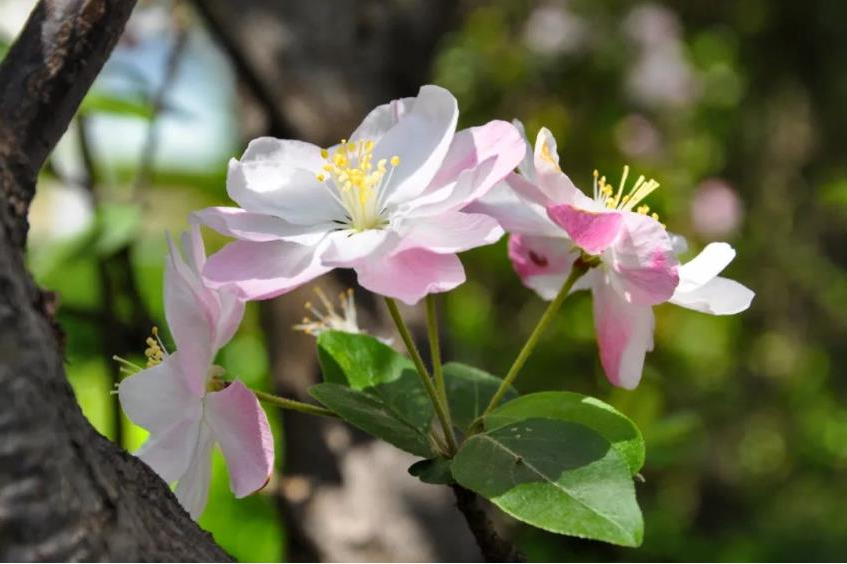 1681613302914477.jpg 微信截图_20230416104222.jpg