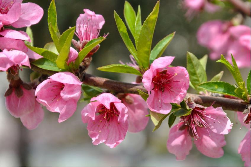 1681613323798075.jpg 微信截图_20230416104240.jpg