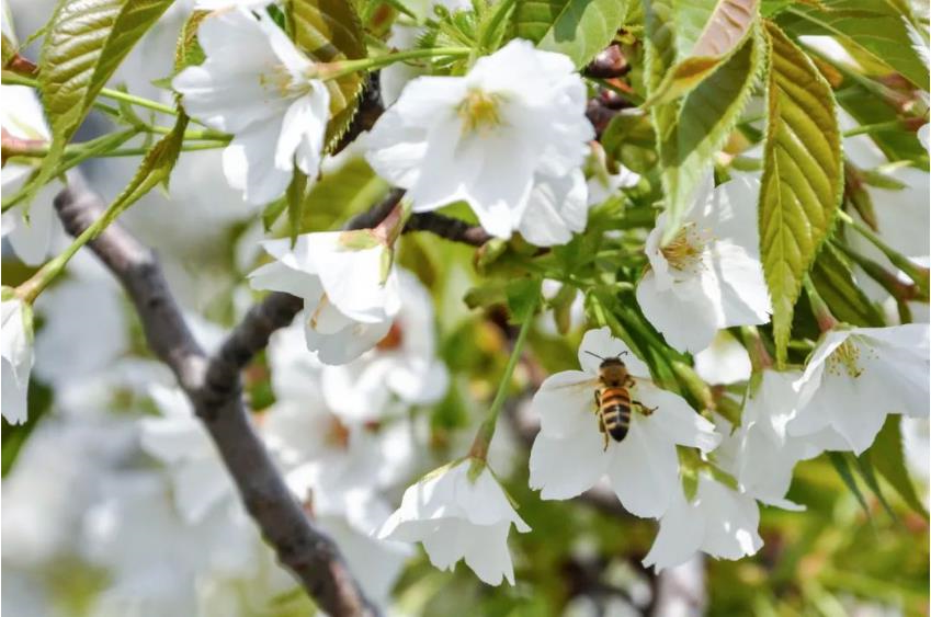 1681613349403884.jpg 微信截图_20230416104348.jpg