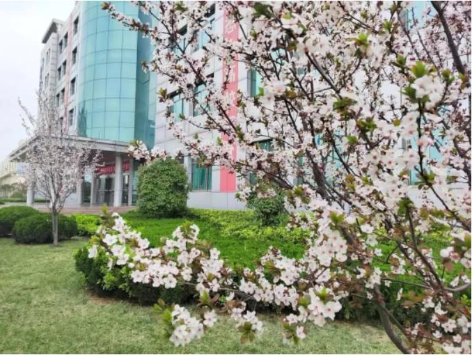 1681862413893066.jpg 微信截图_20230419075740.jpg