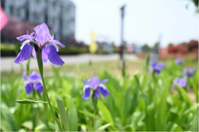 1681862431389104.jpg 微信截图_20230419075810.jpg