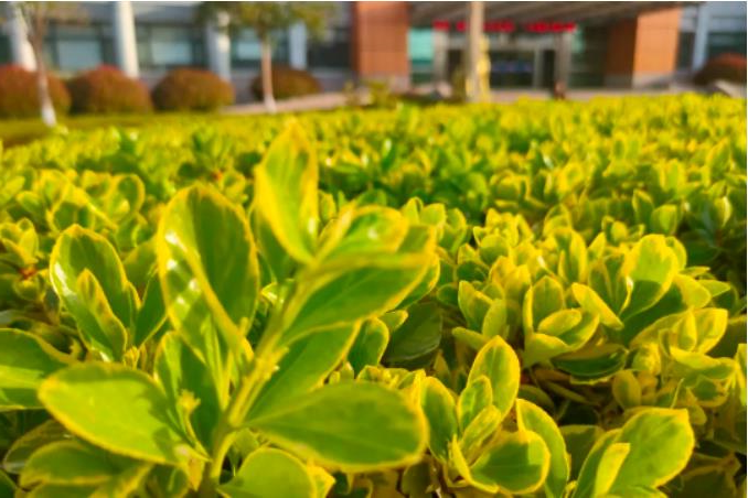 1681948690969941.jpg 微信截图_20230420075650.jpg