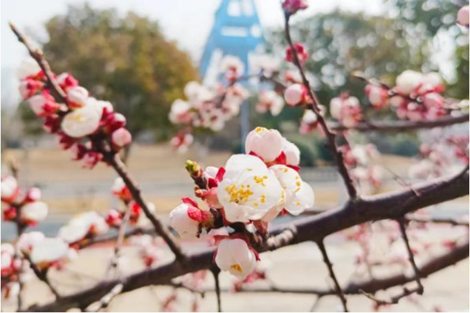 1681948730425399.jpg 微信截图_20230420075718.jpg