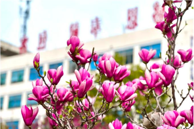 1681948746824888.jpg 微信截图_20230420075728.jpg