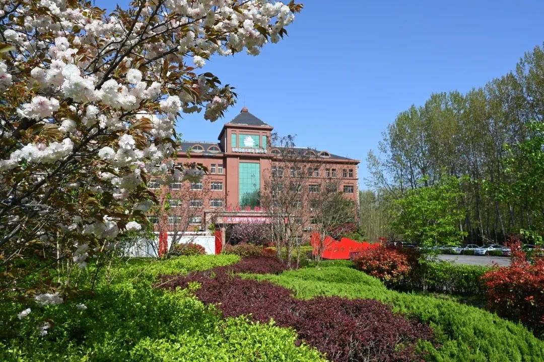 1704866524466937.jpg 6407777.jpg