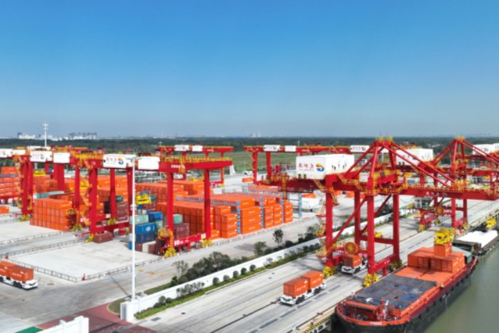 首月开门红！龙拱港集装箱吞吐量突破18000标箱