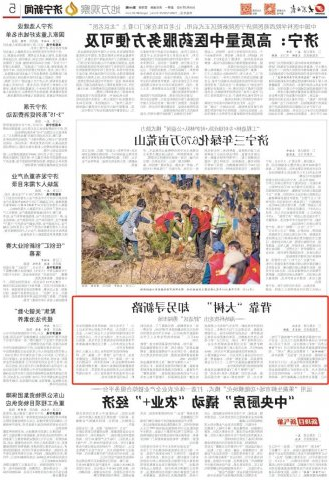 大众日报丨背靠“大树”，却另寻新路