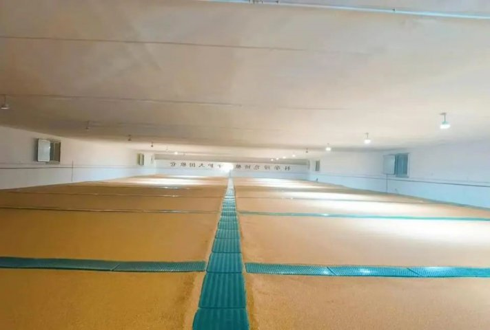 “绿色储粮”新风尚！江北粮食物流园探寻安全储粮新方法